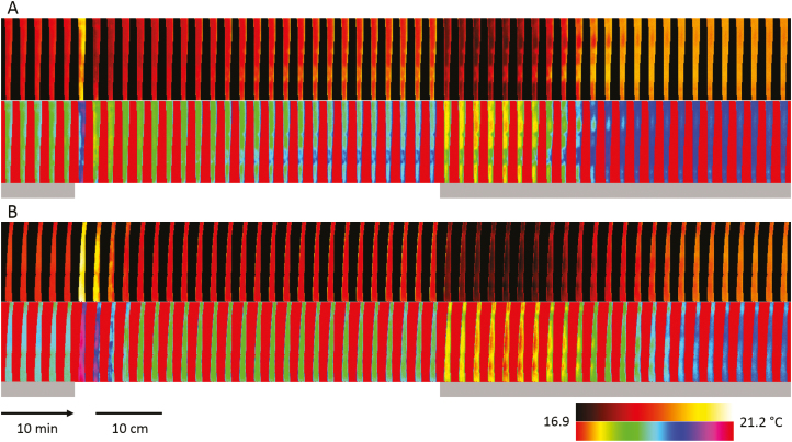 Fig. 4.