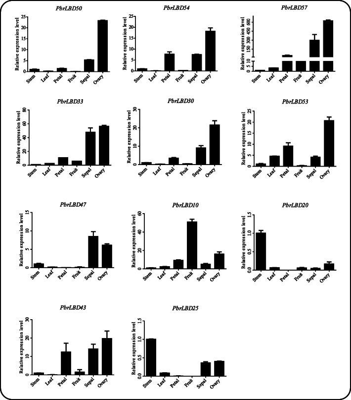 Fig. 6