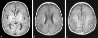<sc>fig</sc> 1.