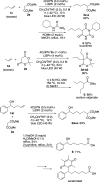 Scheme 2