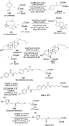 Scheme 3