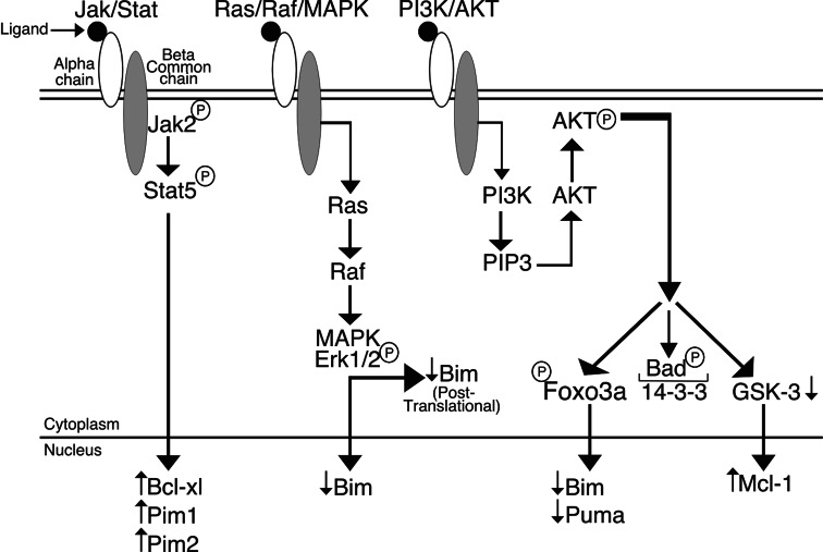 Fig. 2