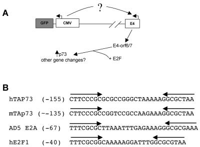 FIG. 10.