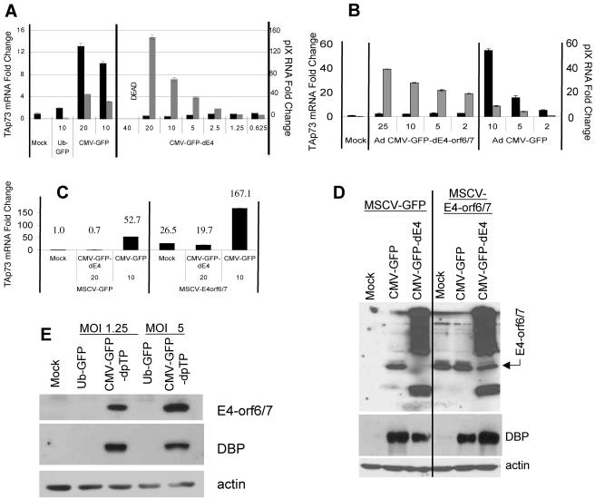 FIG. 6.