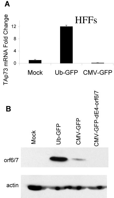 FIG. 9.