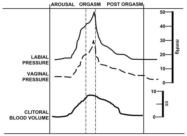 Fig. (1)