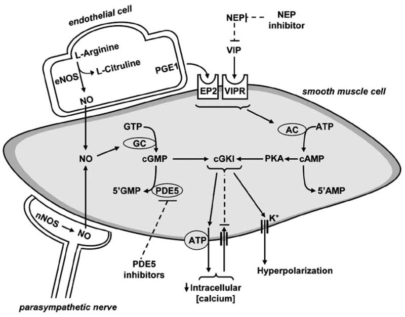 Fig. (3)