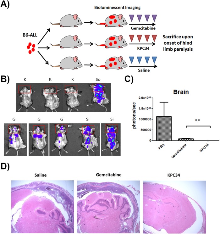 Fig 4