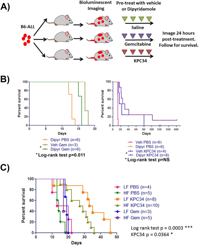 Fig 10