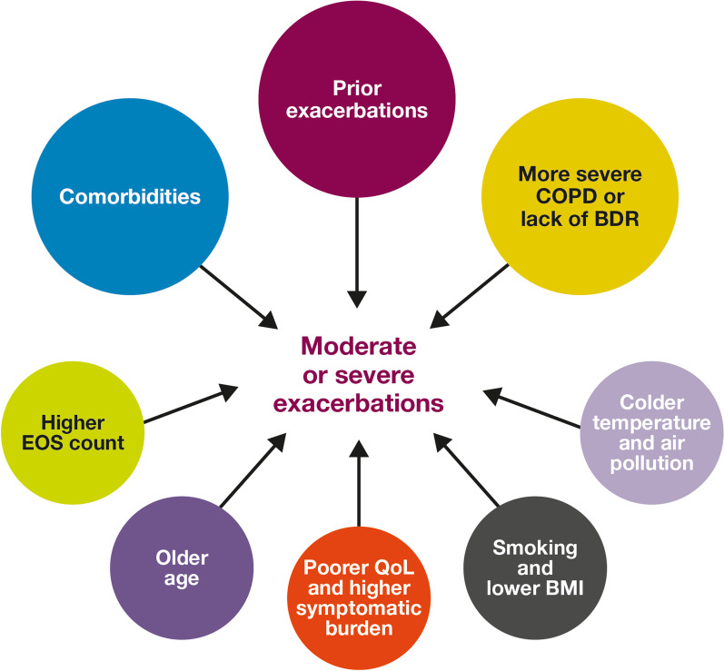 Prognostic risk factors for moderate-to-severe exacerbations in ...