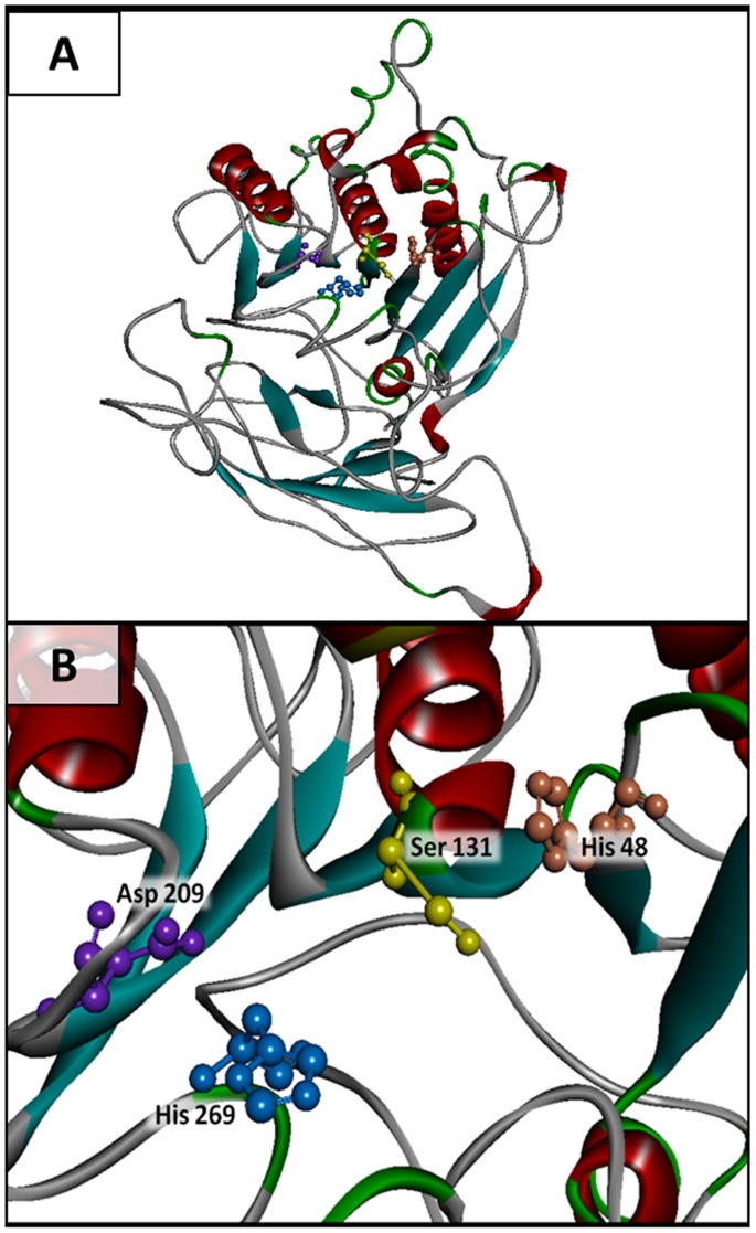 Figure 9