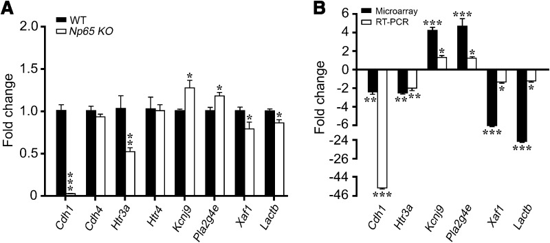 Fig. 3