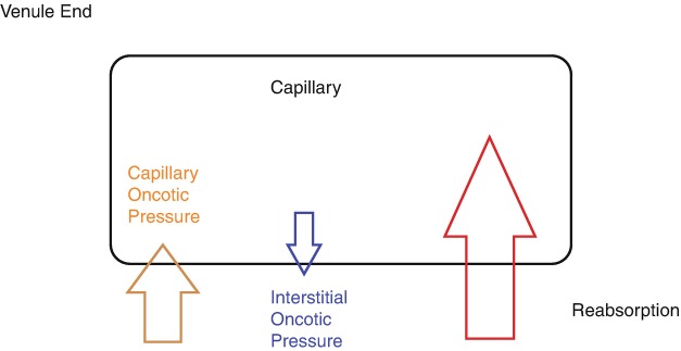 Fig. 11.2