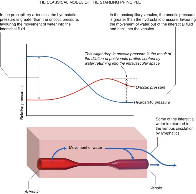 Fig. 11.3