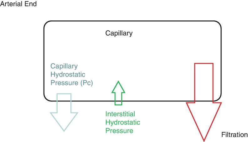 Fig. 11.1