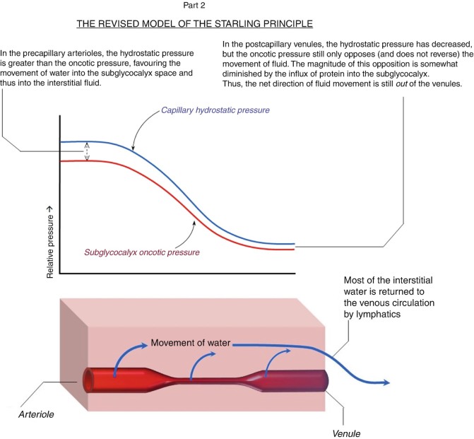 Fig. 11.4