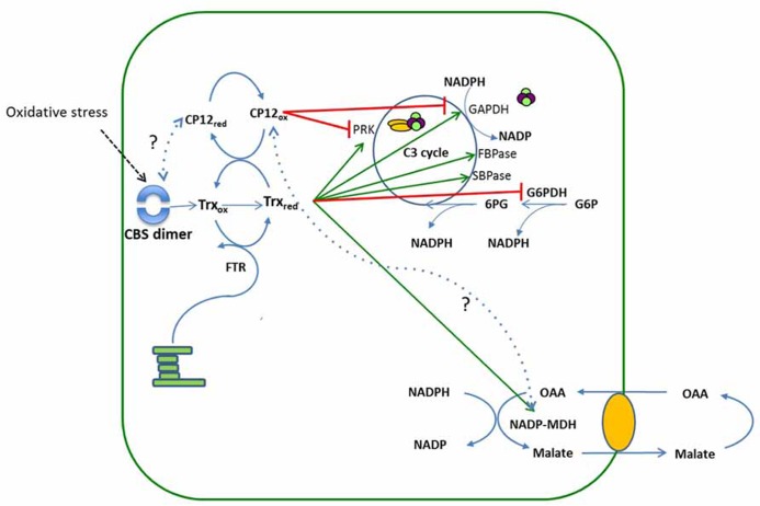 FIGURE 4