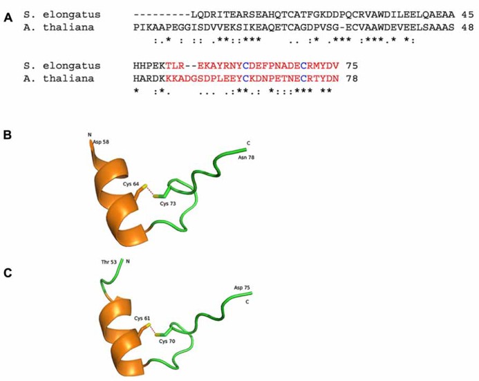 FIGURE 2