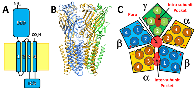 Figure 1: