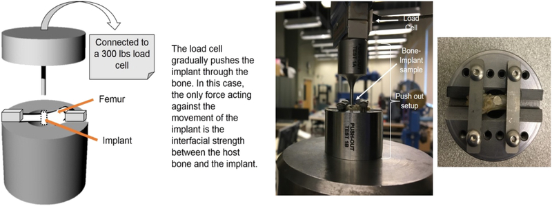 Figure 3: