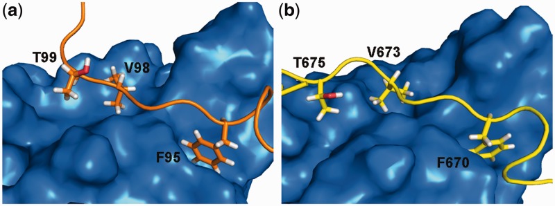 Figure 6.