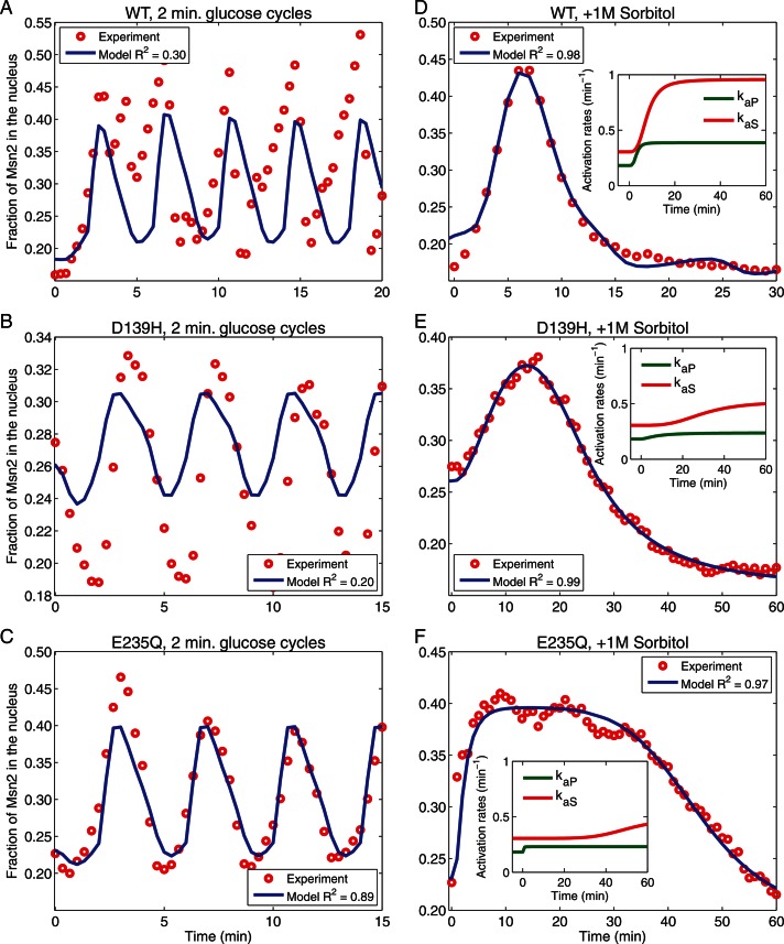 FIGURE 6: