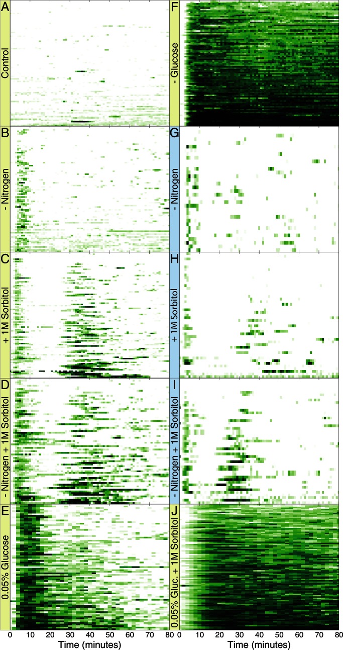 FIGURE 1: