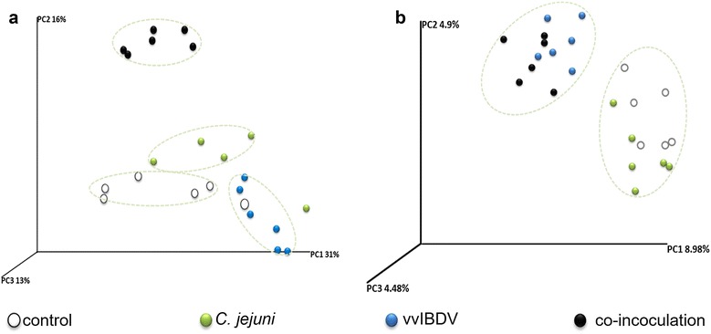 Fig. 6