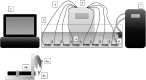 Fig. 1
