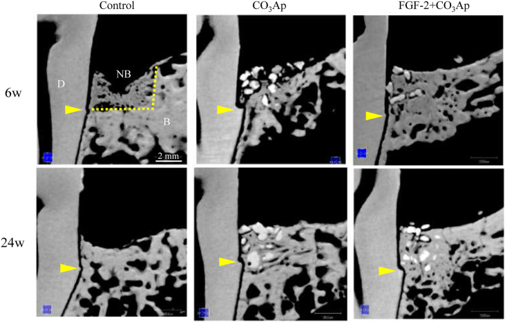 Fig. 3