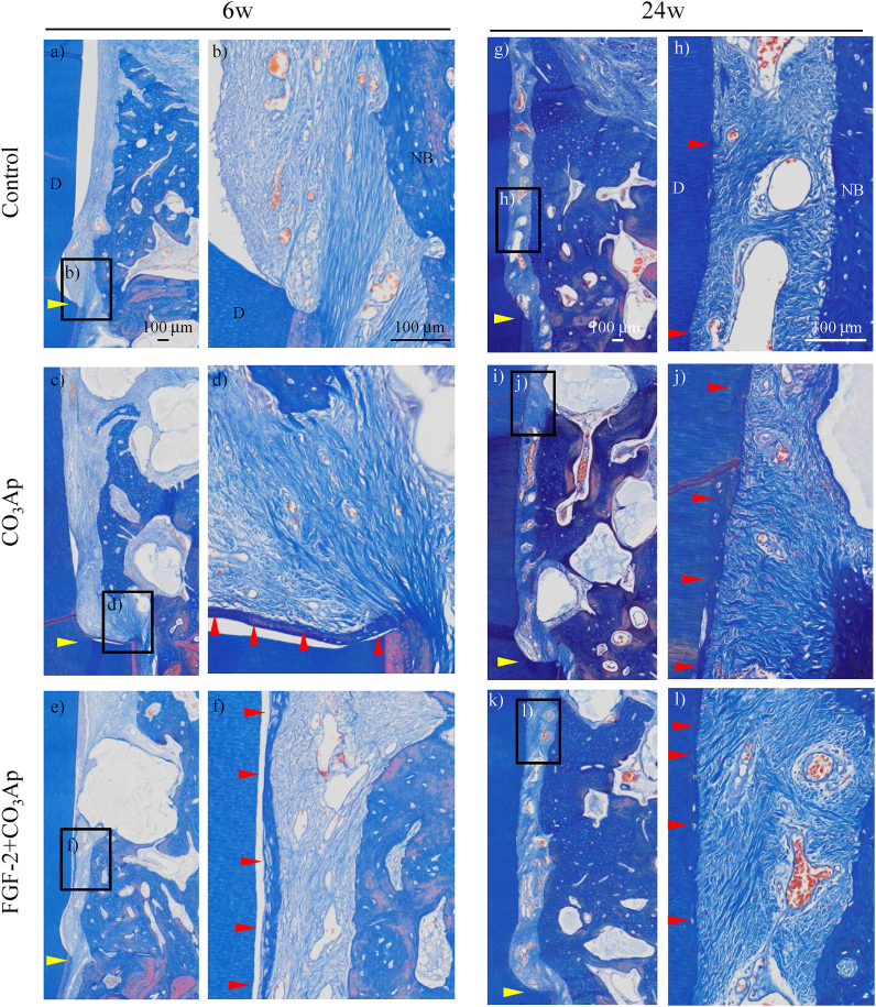 Fig. 7