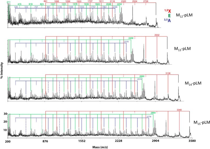 FIGURE 2.