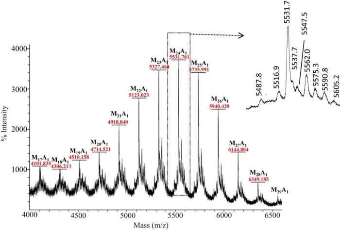 FIGURE 4.