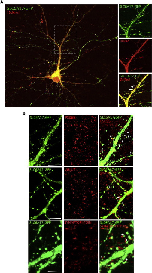 Figure 3