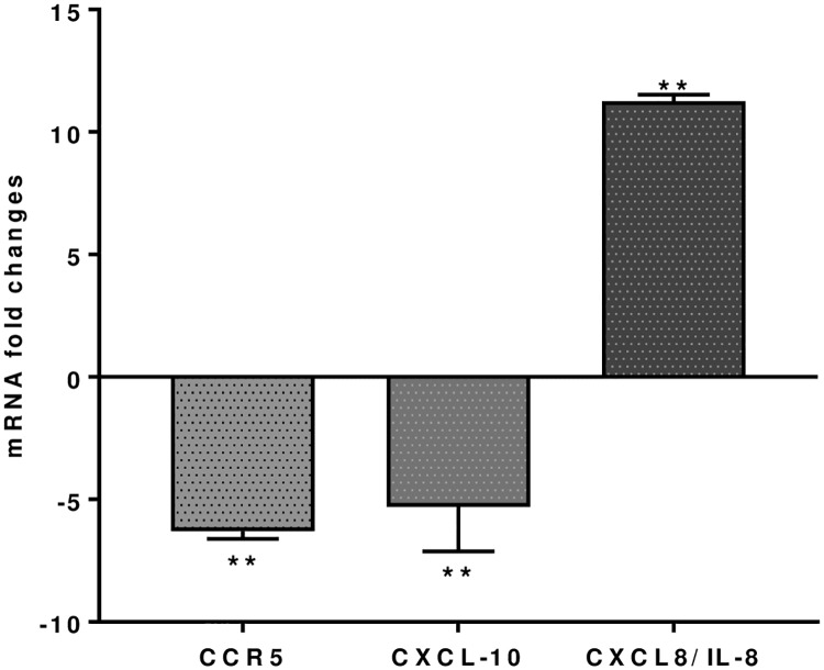 Fig 4