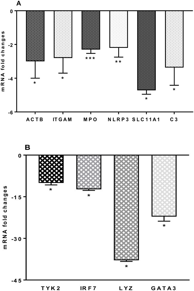 Fig 8