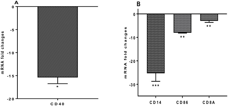 Fig 7