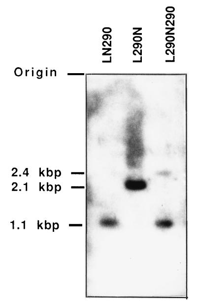 FIG. 6