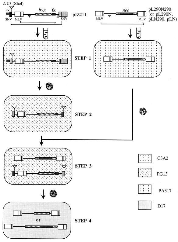 FIG. 5