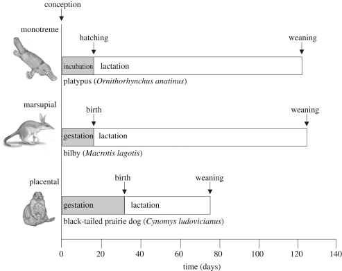 Figure 1.