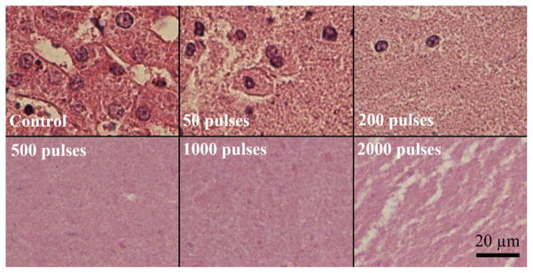 Fig. 15