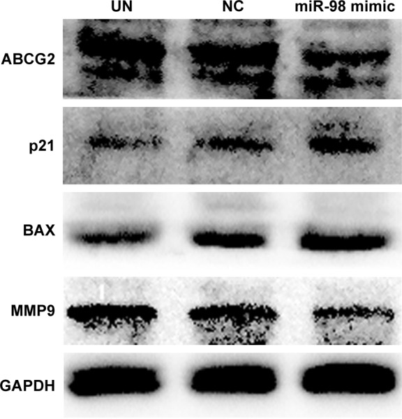 Figure 5