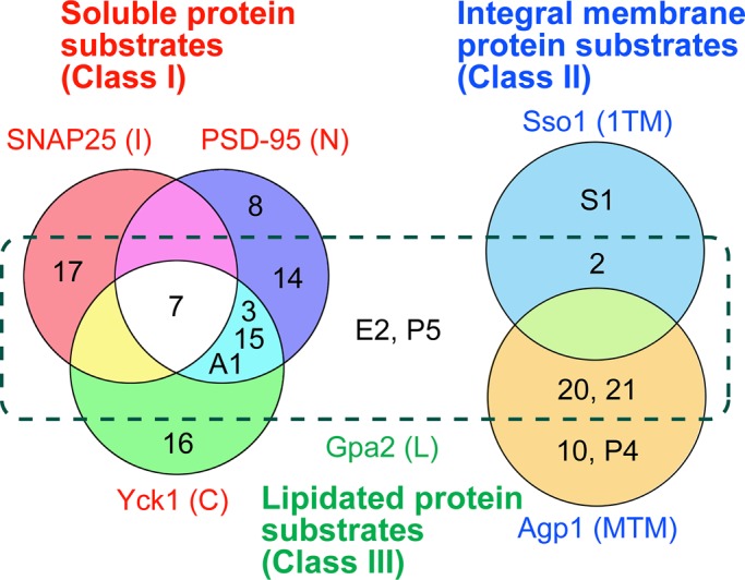 FIGURE 5: