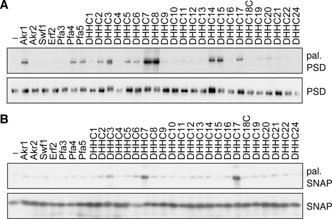 FIGURE 3: