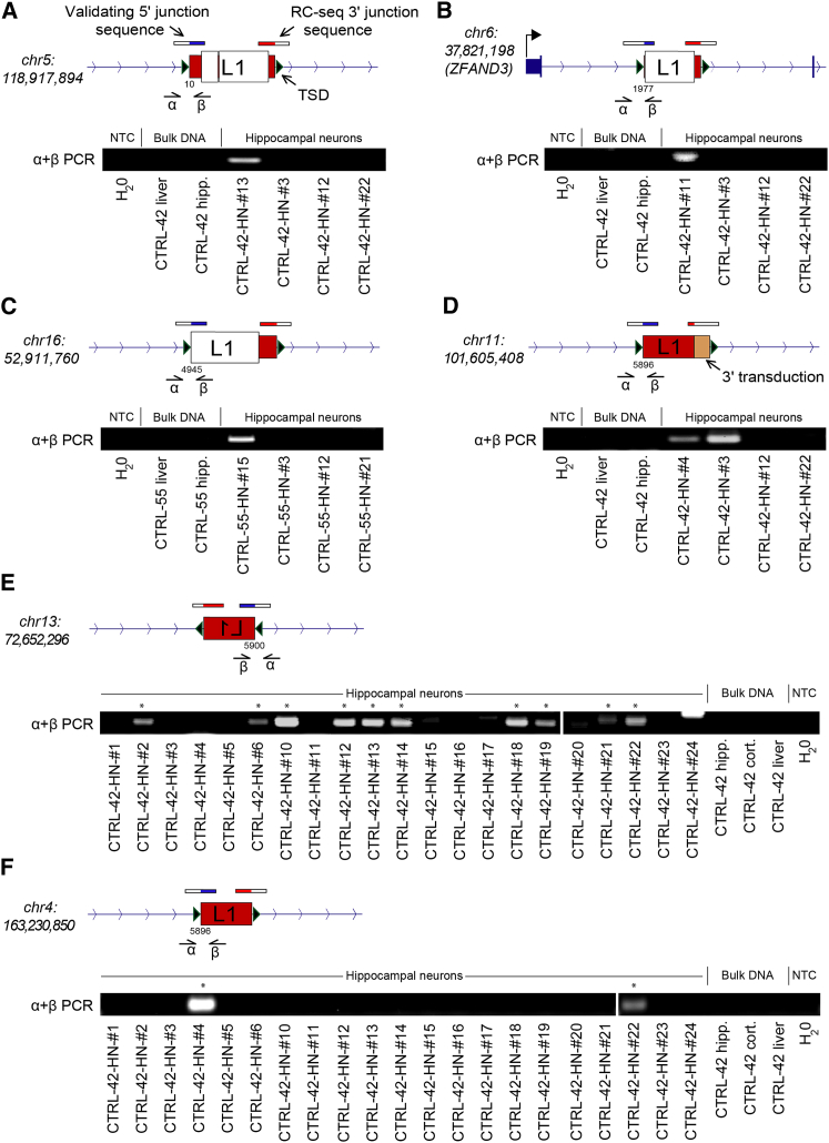 Figure 3