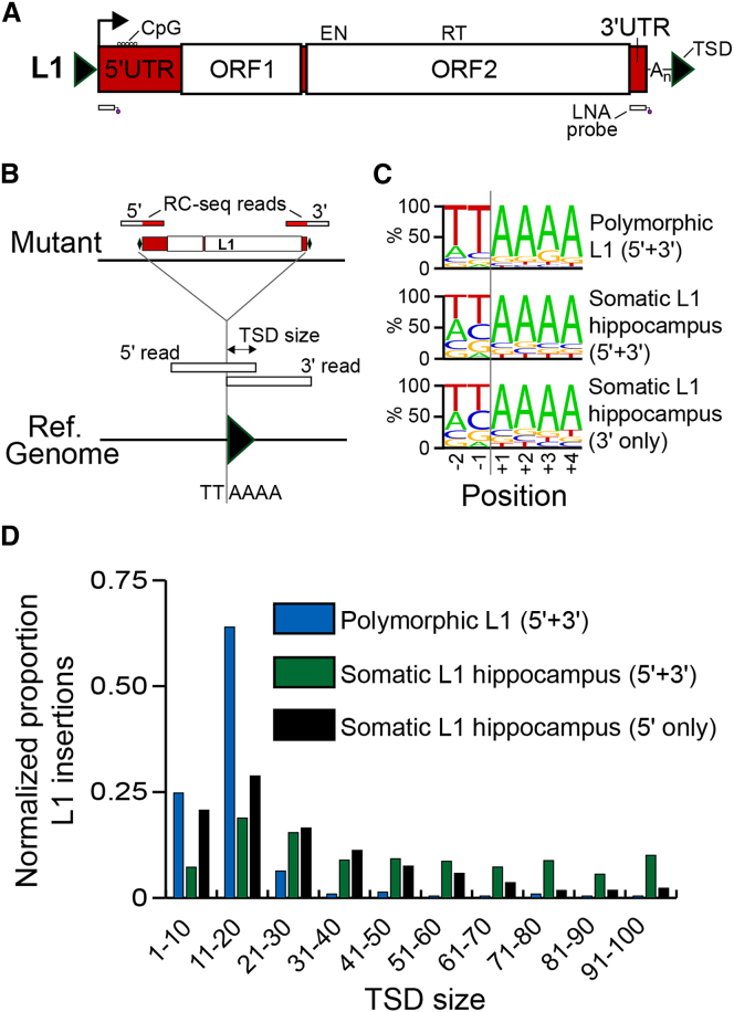 Figure 6