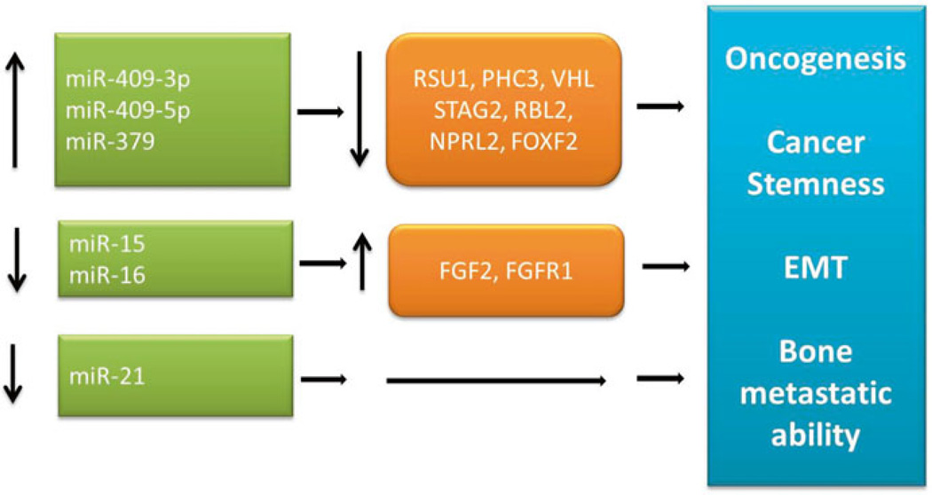 Fig. 7.2