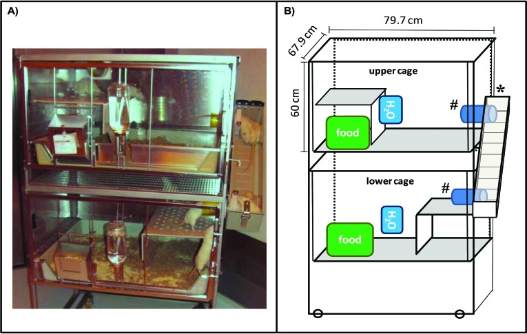 Figure 1.