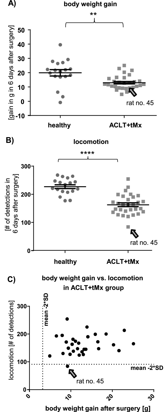 Figure 11.