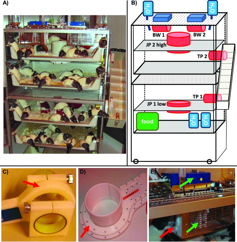 Figure 2.